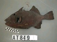 藏品(魚皮掛飾)的圖片